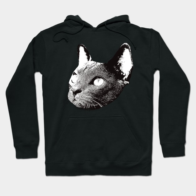 Korat - Korat Christmas Gifts Hoodie by DoggyStyles